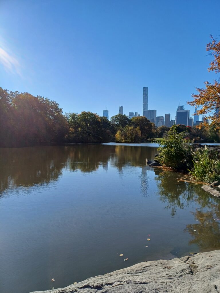 City from Central Park