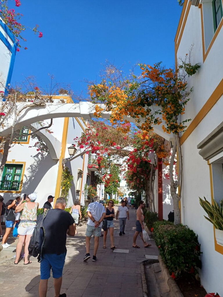 Mogan Streets